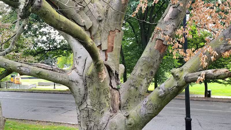 Brookdale Park - Bloomfield, NJ