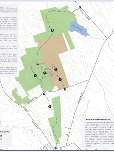 Becton Trail - Blue Hill Heritage Trust - Blue Hill, ME