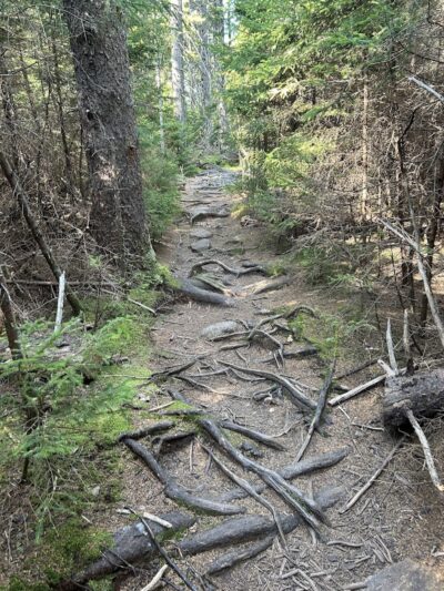 Becton Trail - Blue Hill Heritage Trust - Blue Hill, ME