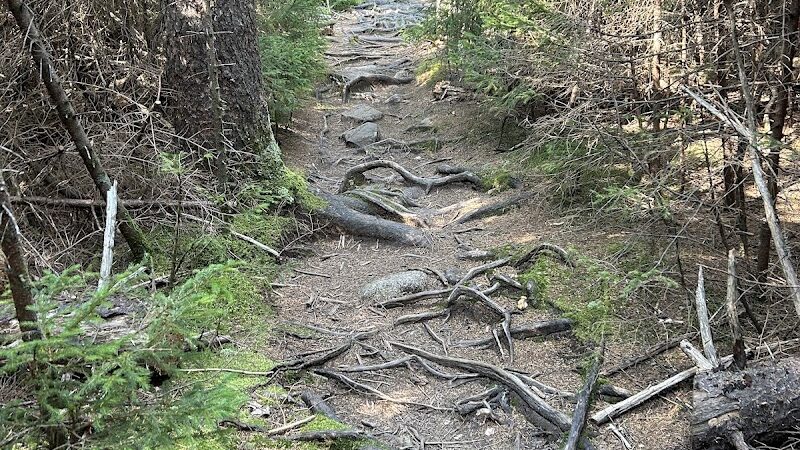 Becton Trail - Blue Hill Heritage Trust - Blue Hill, ME