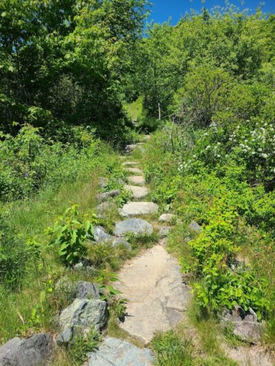 Blue Hill Mountain Hayes & Service Trail- Blue Hill Heritage Trust - Blue Hill, ME