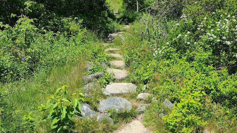 Blue Hill Mountain Hayes & Service Trail- Blue Hill Heritage Trust - Blue Hill, ME