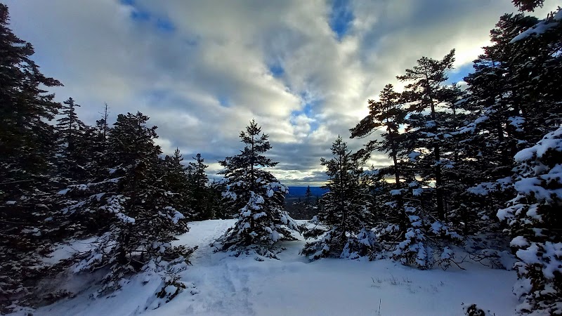 Blue Hill Mountain Hayes & Service Trail- Blue Hill Heritage Trust - Blue Hill, ME