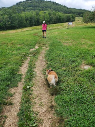 Blue Hill Mountain Hayes & Service Trail- Blue Hill Heritage Trust - Blue Hill, ME