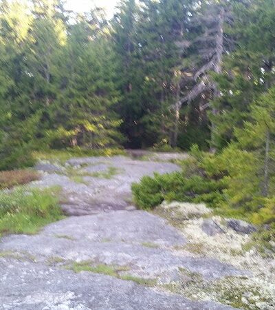 Blue Hill Mountain Hayes & Service Trail- Blue Hill Heritage Trust - Blue Hill, ME