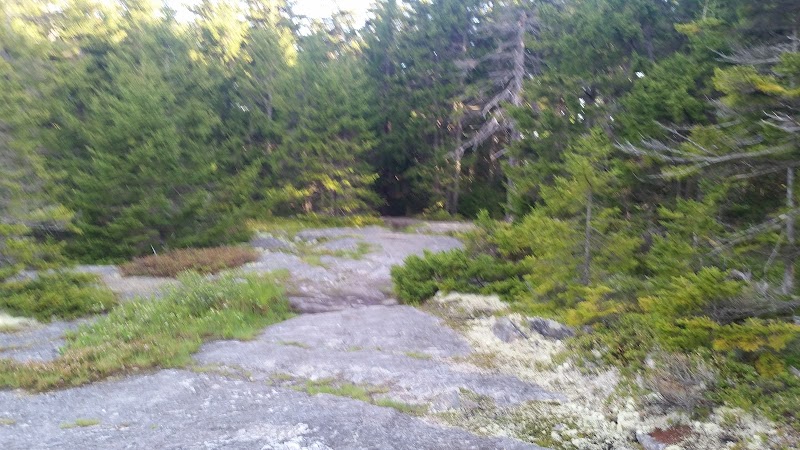 Blue Hill Mountain Hayes & Service Trail- Blue Hill Heritage Trust - Blue Hill, ME