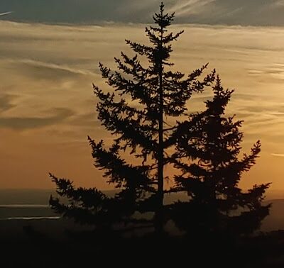 Blue Hill Mountain Hayes & Service Trail- Blue Hill Heritage Trust - Blue Hill, ME