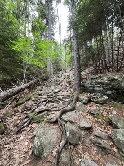 Blue Hill Mountain Osgood Trail- Blue Hill Heritage Trust - Blue Hill, ME