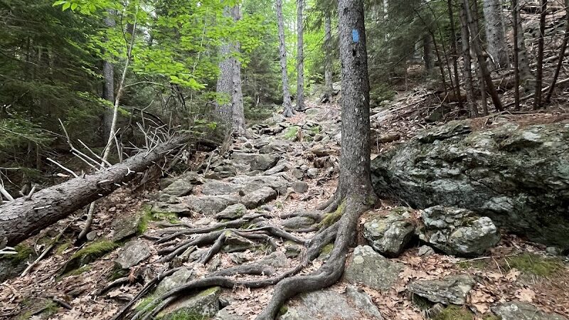 Blue Hill Mountain Osgood Trail- Blue Hill Heritage Trust - Blue Hill, ME