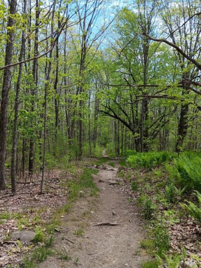 Blue Hill Mountain Osgood Trail- Blue Hill Heritage Trust - Blue Hill, ME