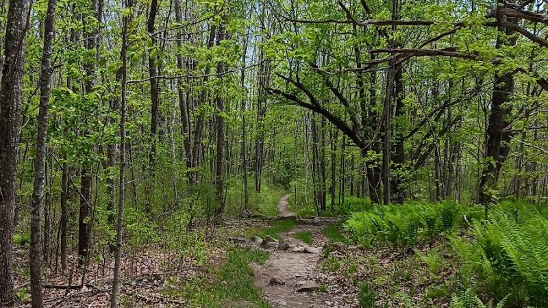 Blue Hill Mountain Osgood Trail- Blue Hill Heritage Trust - Blue Hill, ME