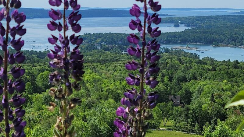 Blue Hill Mountain Osgood Trail- Blue Hill Heritage Trust - Blue Hill, ME
