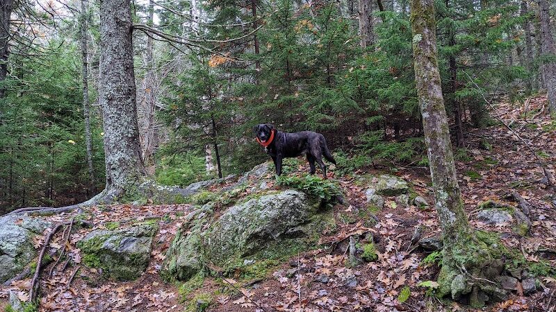Blue Hill Mountain Osgood Trail- Blue Hill Heritage Trust - Blue Hill, ME