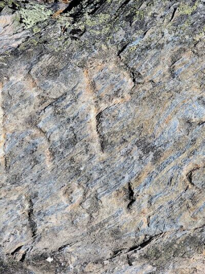 Blue Hill Mountain Osgood Trail- Blue Hill Heritage Trust - Blue Hill, ME