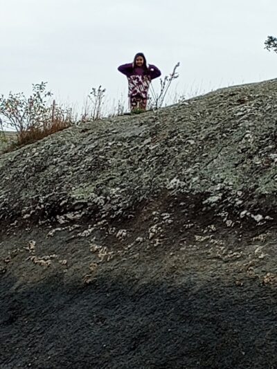 Blue Hill Town Park - Blue Hill, ME