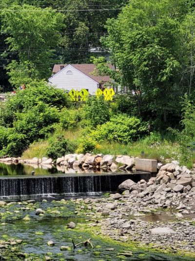 Horton Emerson Park - Blue Hill, ME