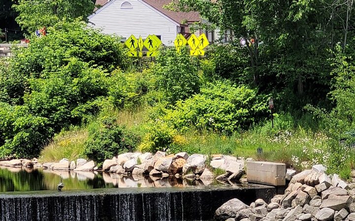 Horton Emerson Park - Blue Hill, ME