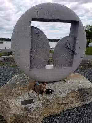 Horton Emerson Park - Blue Hill, ME