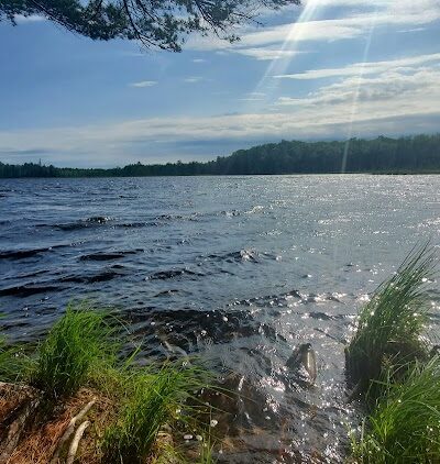 Kingdom Woods Conservation Area - Blue Hill Heritage Trust - Blue Hill, ME