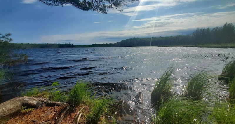 Kingdom Woods Conservation Area - Blue Hill Heritage Trust - Blue Hill, ME