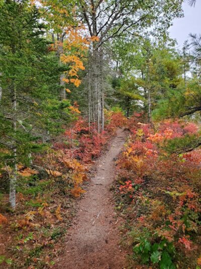 Kingdom Woods Conservation Area - Blue Hill Heritage Trust - Blue Hill, ME