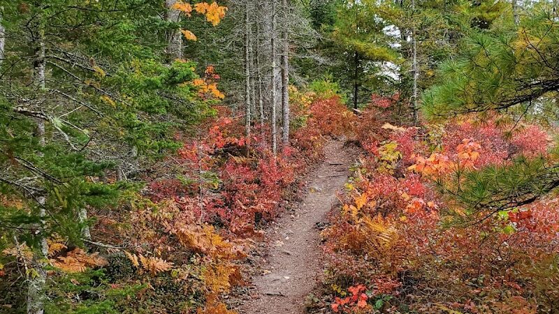 Kingdom Woods Conservation Area - Blue Hill Heritage Trust - Blue Hill, ME