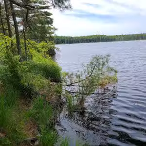 Kingdom Woods Conservation Area - Blue Hill Heritage Trust - Blue Hill, ME