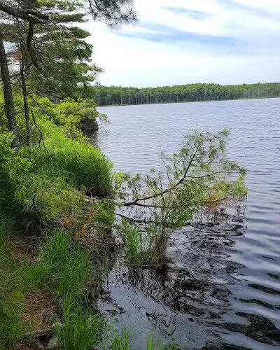 Kingdom Woods Conservation Area - Blue Hill Heritage Trust - Blue Hill, ME