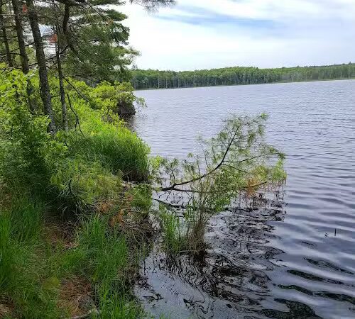 Kingdom Woods Conservation Area - Blue Hill Heritage Trust - Blue Hill, ME