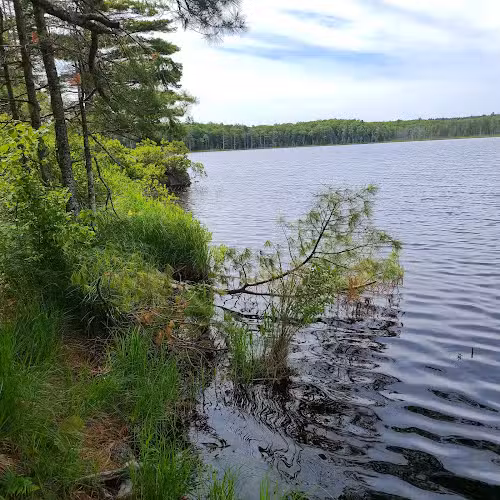 Kingdom Woods Conservation Area - Blue Hill Heritage Trust - Blue Hill, ME