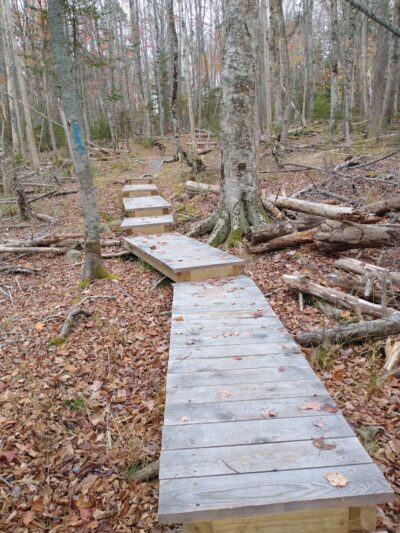 Parker Point/South St Trail - Blue Hill Heritage Trust - Blue Hill, ME