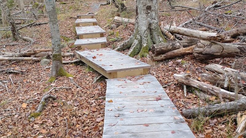 Parker Point/South St Trail - Blue Hill Heritage Trust - Blue Hill, ME