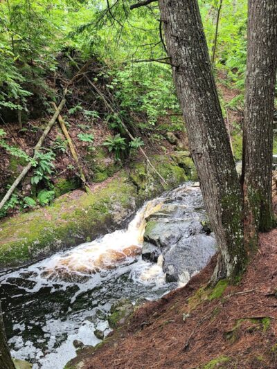 Peters Brook Trail - Blue Hill Heritage Trust - Blue Hill, ME