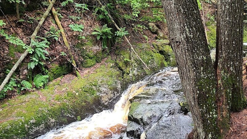 Peters Brook Trail - Blue Hill Heritage Trust - Blue Hill, ME