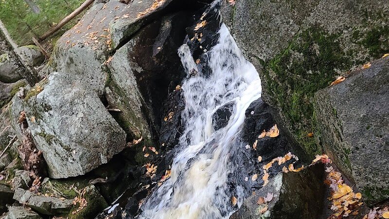 Peters Brook Trail - Blue Hill Heritage Trust - Blue Hill, ME