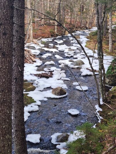 Peters Brook Trail - Blue Hill Heritage Trust - Blue Hill, ME