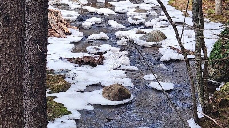 Peters Brook Trail - Blue Hill Heritage Trust - Blue Hill, ME