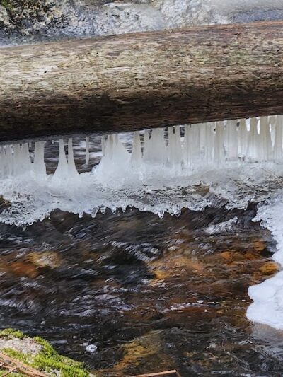 Peters Brook Trail - Blue Hill Heritage Trust - Blue Hill, ME