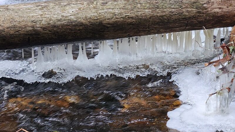 Peters Brook Trail - Blue Hill Heritage Trust - Blue Hill, ME