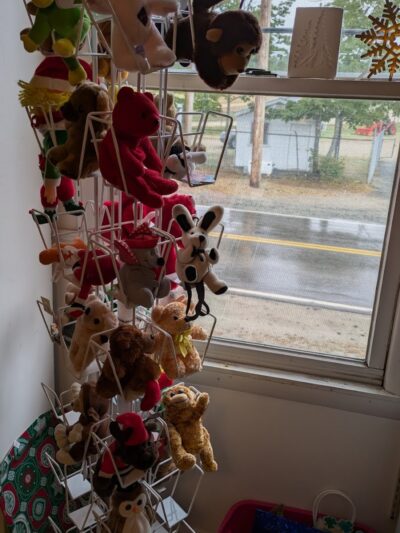 The Ark Thrift Shop - Blue Hill, ME