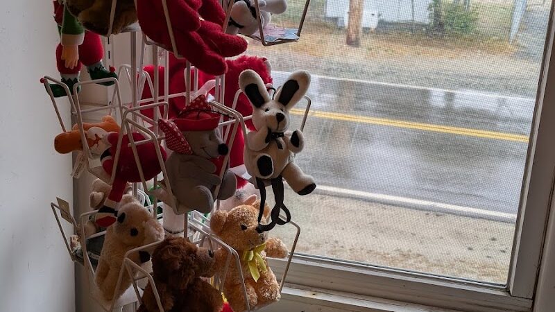 The Ark Thrift Shop - Blue Hill, ME