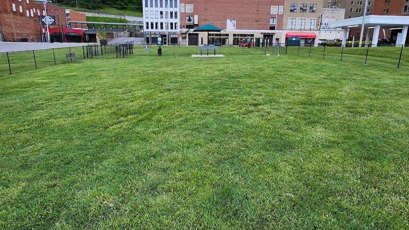 The TailYard - Bluefield, WV