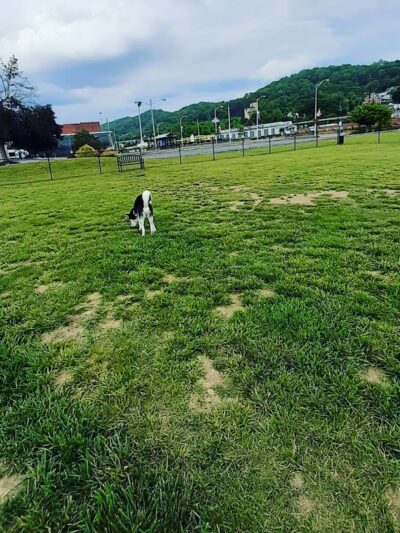 The TailYard - Bluefield, WV