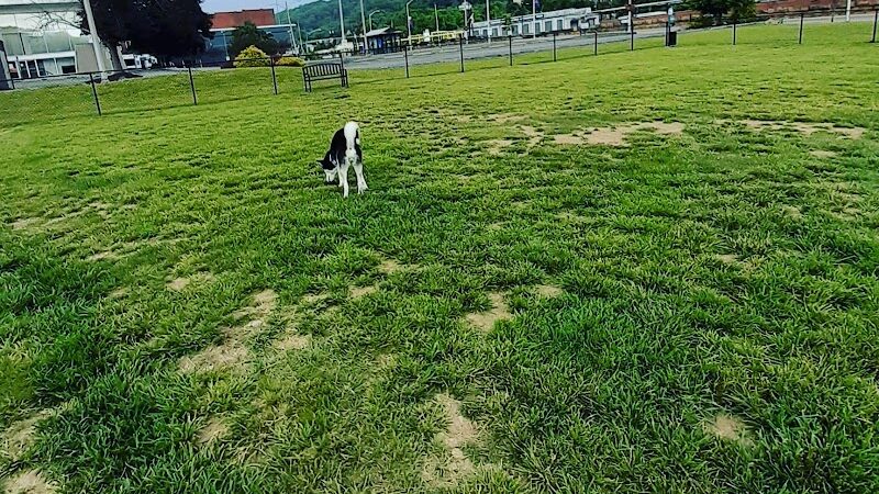 The TailYard - Bluefield, WV