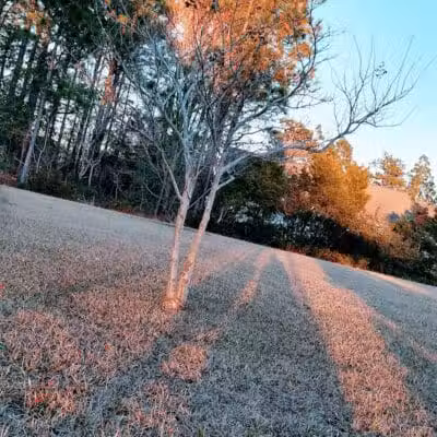 Robert G Muse Memorial Park - Boiling Spring Lakes, NC