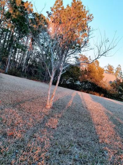 Robert G Muse Memorial Park - Boiling Spring Lakes, NC