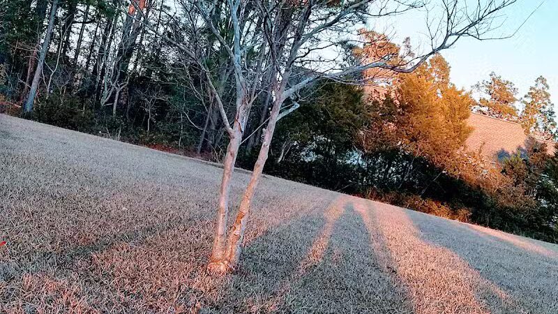 Robert G Muse Memorial Park - Boiling Spring Lakes, NC