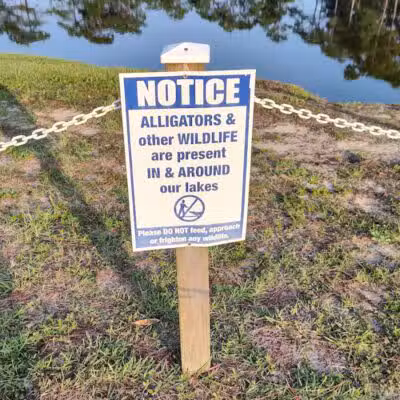 Seminole Lake Park - Boiling Spring Lakes, NC
