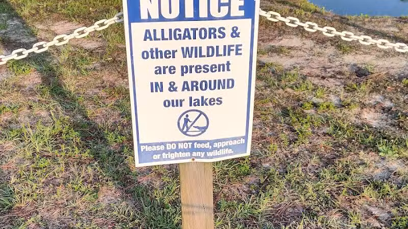 Seminole Lake Park - Boiling Spring Lakes, NC