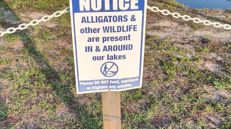 Seminole Lake Park - Boiling Spring Lakes, NC